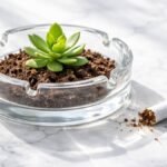 A person breaking a cigarette, symbolizing the best way to how to quit smoking for better health.